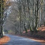 Le Beaulieu Beaulieu (Haute-Loire)