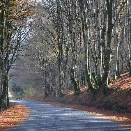 Le Beaulieu Beaulieu (Haute-Loire)