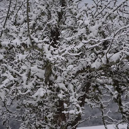 Locanda Le Beaulieu *